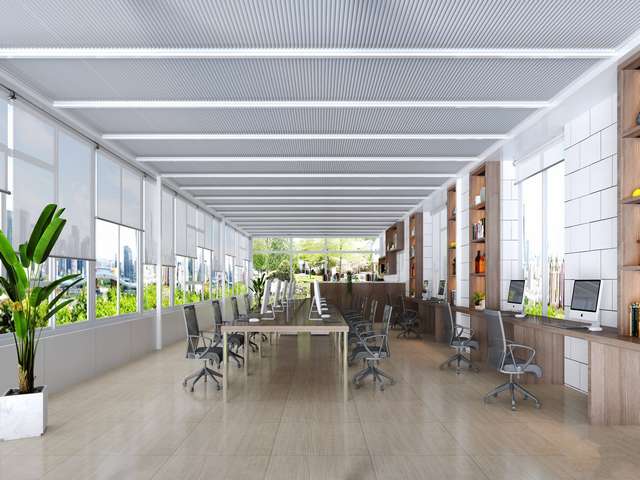 天台县道路绿化花卉绿植怎么样