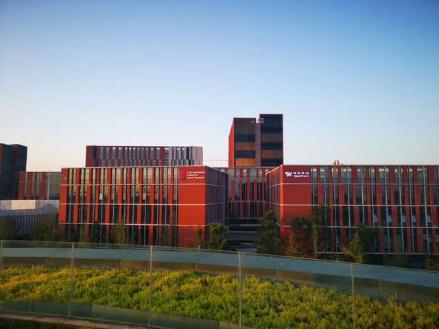 东莞特别手提袋定制诚信经营