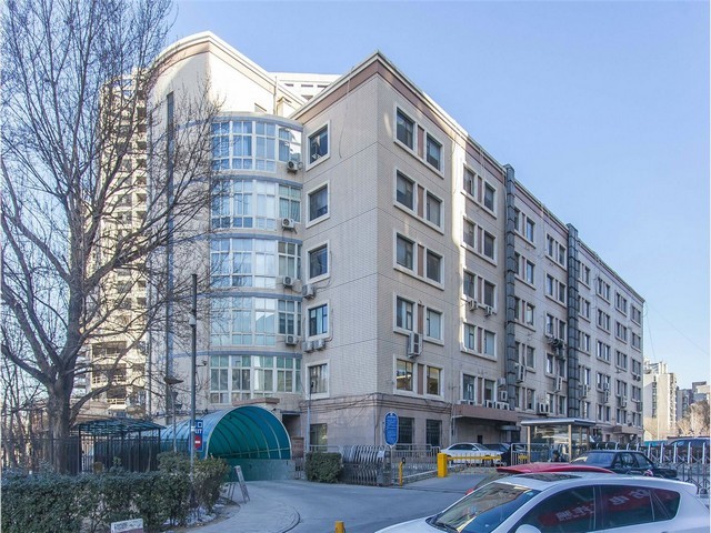 山东简单洗鞋培训咨询